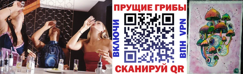 где купить наркоту  Поронайск  Галлюциногенные грибы Psilocybine cubensis 